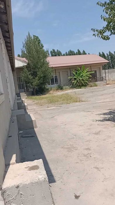 Tovuqxona va ishlab-chiqarish bino-inshootlari