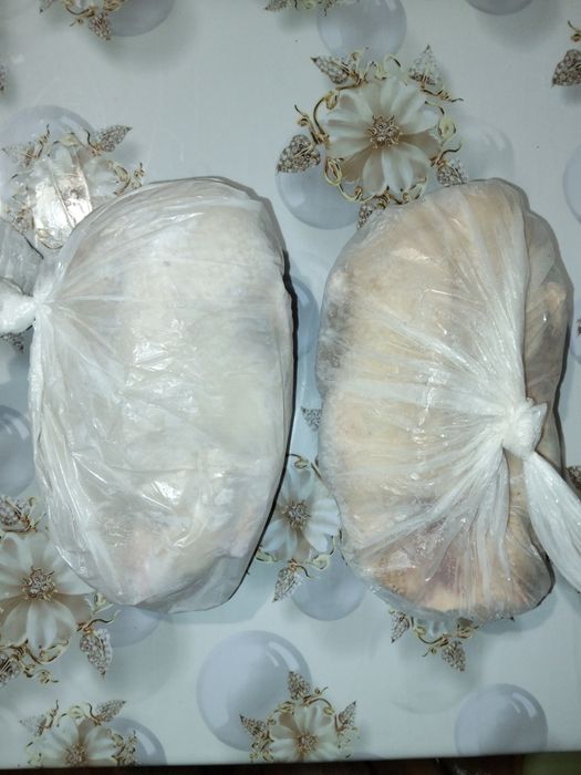 Продаю  домашних гусей