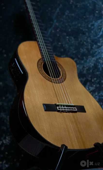 IBANEZ org guitar eq