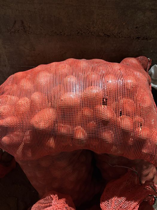 Картошка — 7500 тг мешок