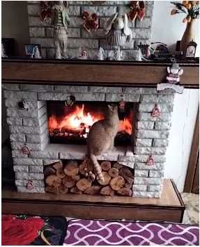 Продается большой дом 147 кв.м.