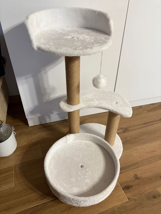 Котешка катерушка, София