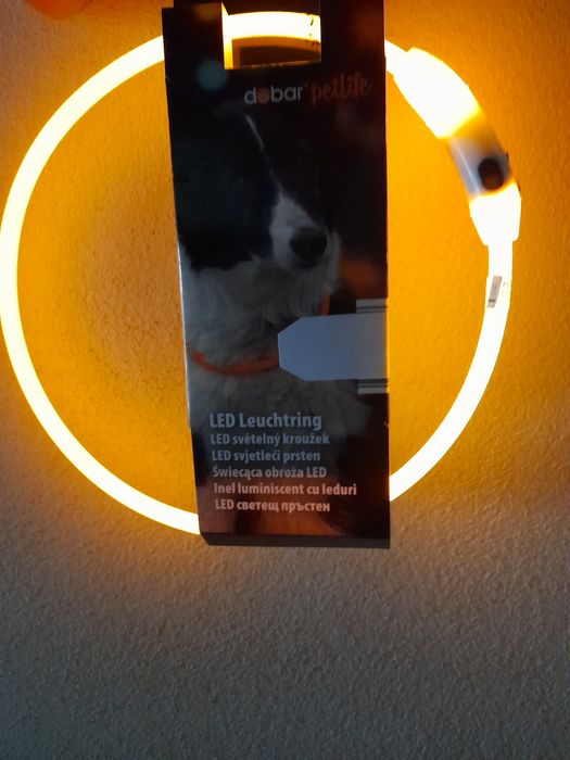 Lot 100 buc cerc, banda Zgarda led luminoasa pentru Caine