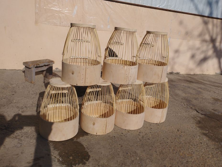 Italiya bedanaga qovoq bor sotiladi