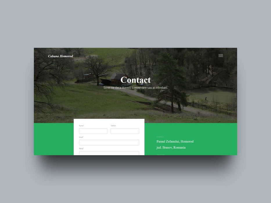 Dezvoltare site web/aplicatii mobile/branding/SEO, PrimoStudio.net