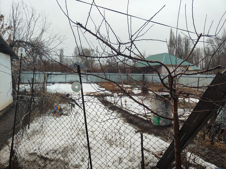 Продам два дома один двор.