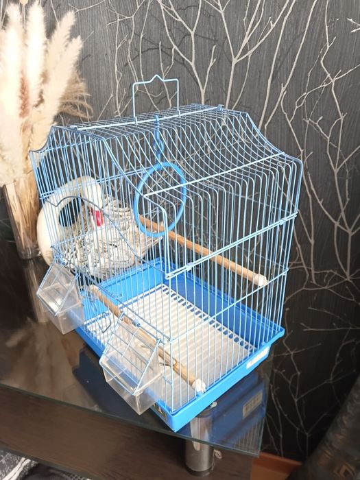 Клетка для птичек