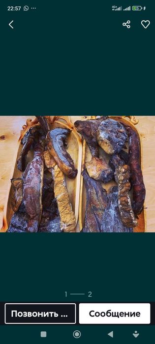 Капчены мяса конины. Сүр ет.