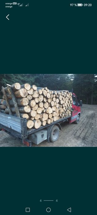 Lemne de foc 074_427_08-38