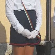 Ученическа униформа Gucci, burberry