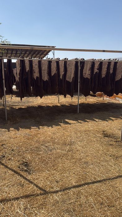 Киіз, Кашма, Войлок.