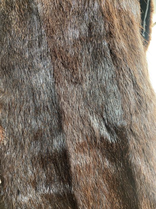 Продам шубу андатра