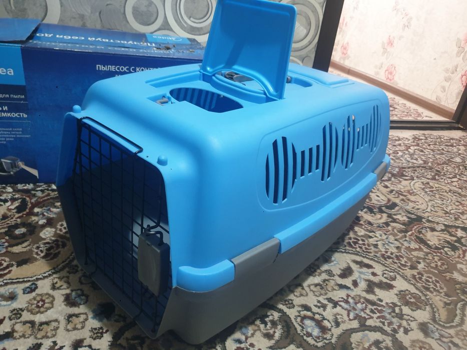Продаётся Котёнок Бенгальский чистокровный