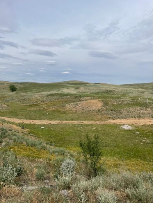 Поле 5.4 гектара