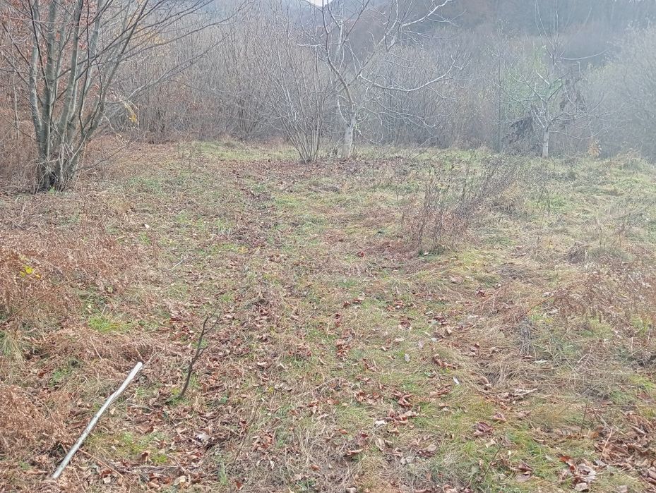 Vând/Schimb teren in zona Râului Mare, Retezat