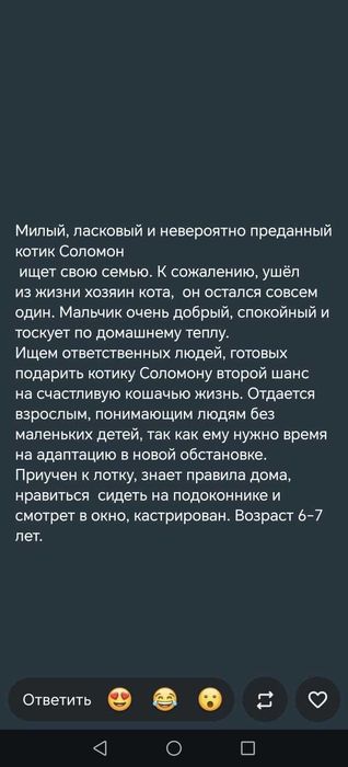 Отдам в добрые руки котик