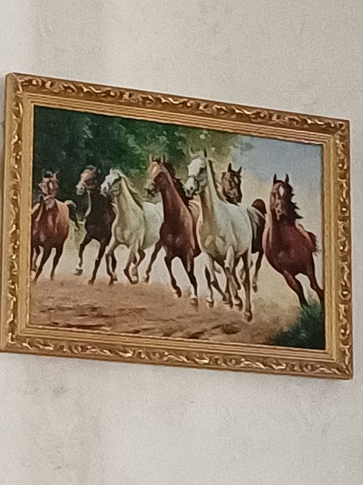 домашний инвентарь