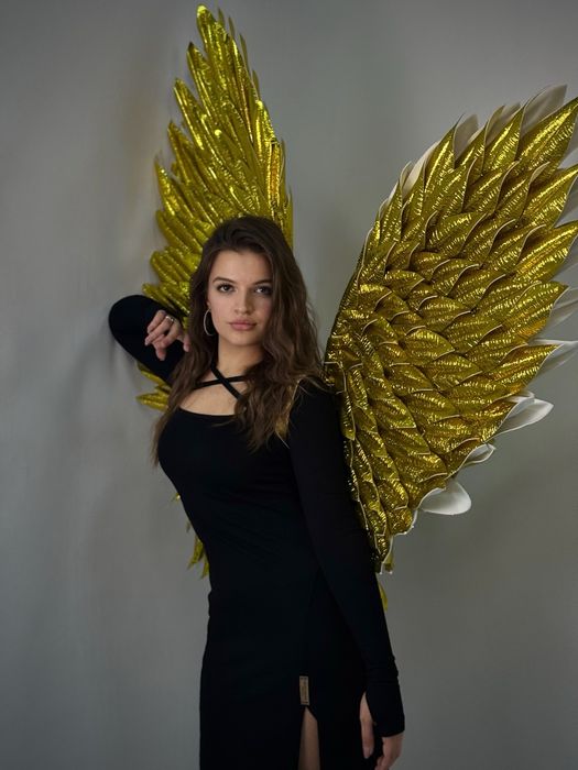 Крылья Ангела Шымкент на прокат