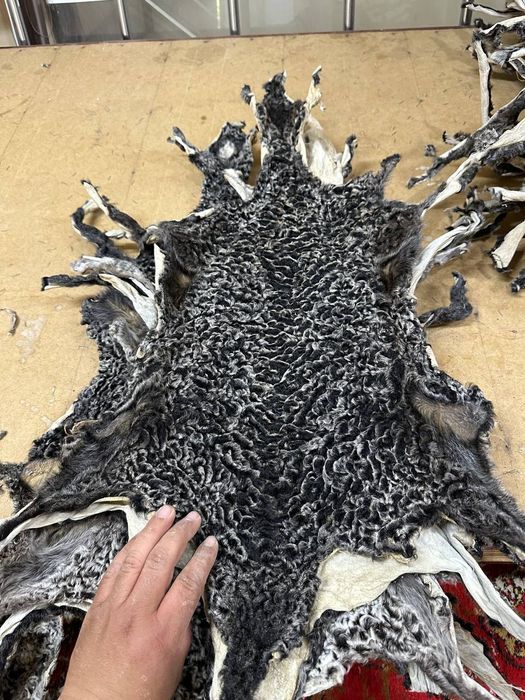 Антика терилар сотилади