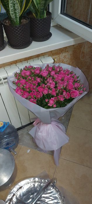 Продам цветы Алматы Туздыбастау