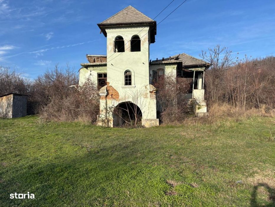 Conac boieresc cu vita de vie in Calinesti