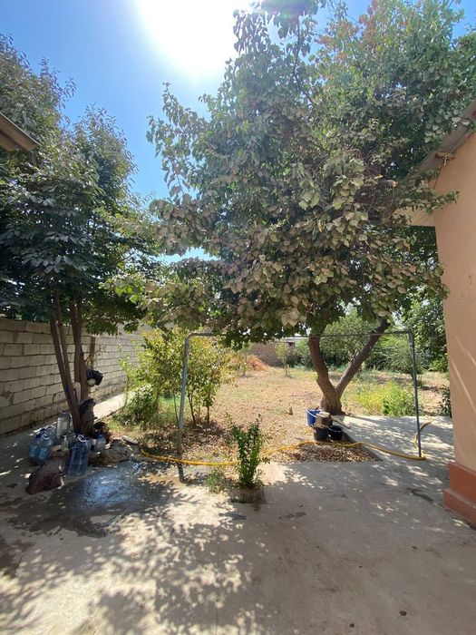 Termiz tuman Guliston