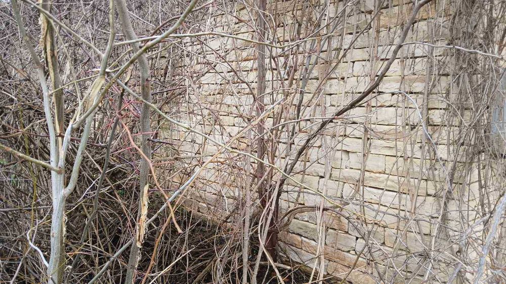 Естествен- Камък