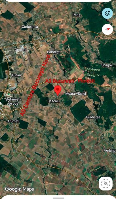 Teren 4.500 mp - Proprietar – fără comision - Dascalu, Ilfov