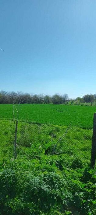 Парцел в село Смин