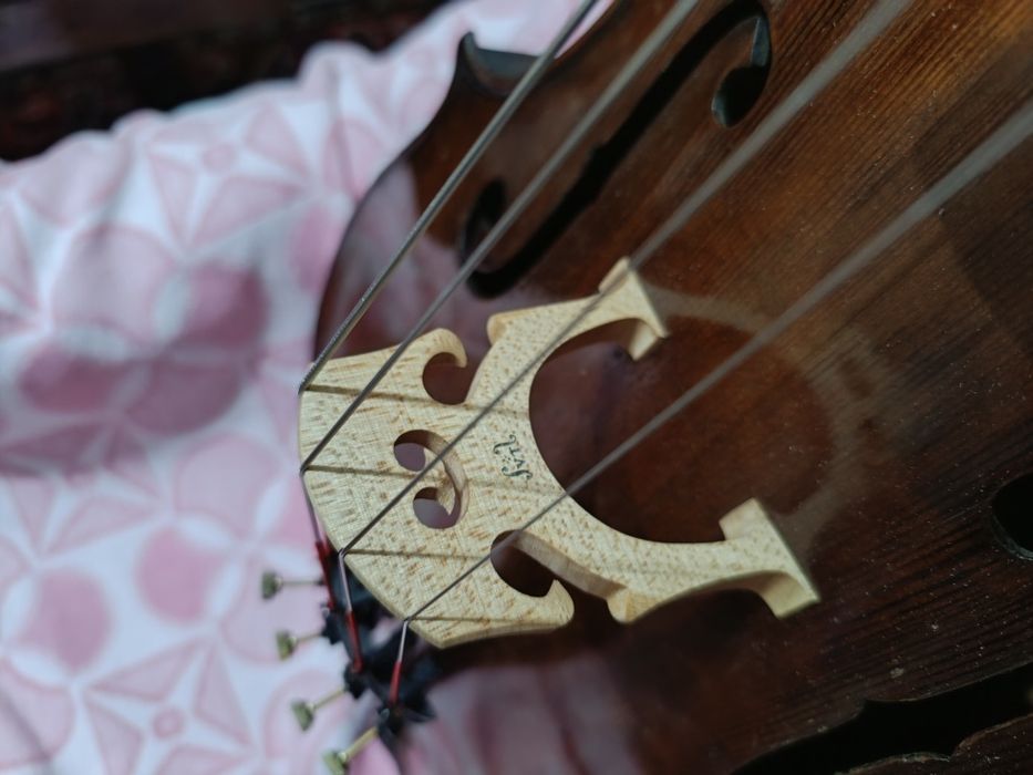 Виолончело ,Щайнер