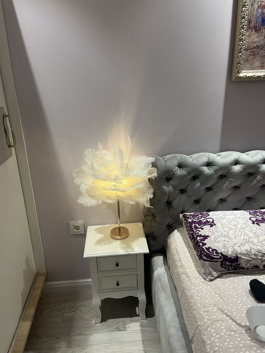 Нощна лампа с пера от щраус