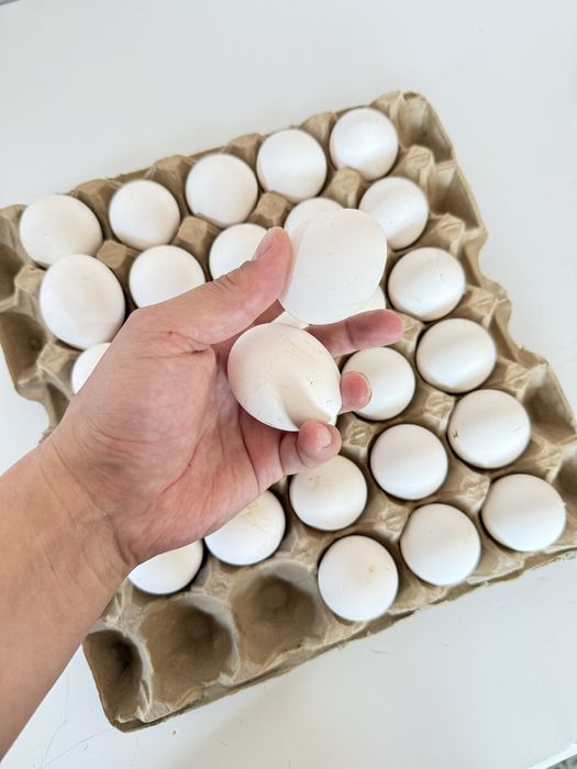 Продажа оптом домашних куриных яиц