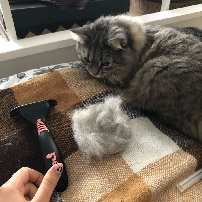 Чесалка для шерсти