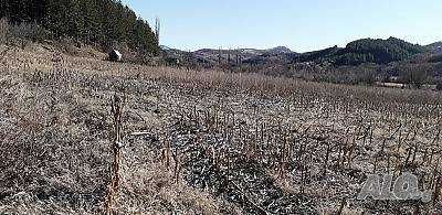 Продава се Земеделски имот в Благоевград, Освобождение -  кв.м за 4 €/дка - Снимка #2