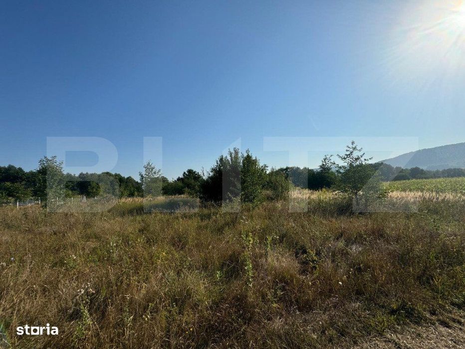 Teren extravilan, 4000mp, com. Darmanesti