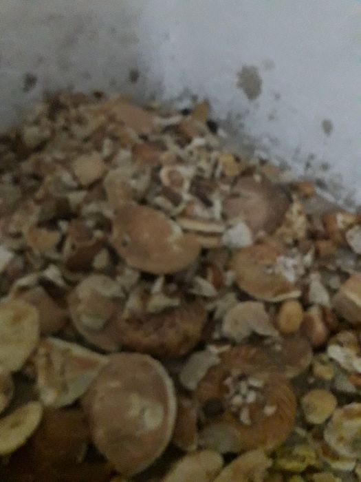 Сухари.для.животных