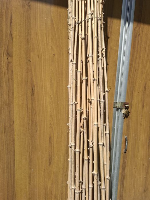Bambus de calitate pentru undita, araci, stâlpi, umbritor