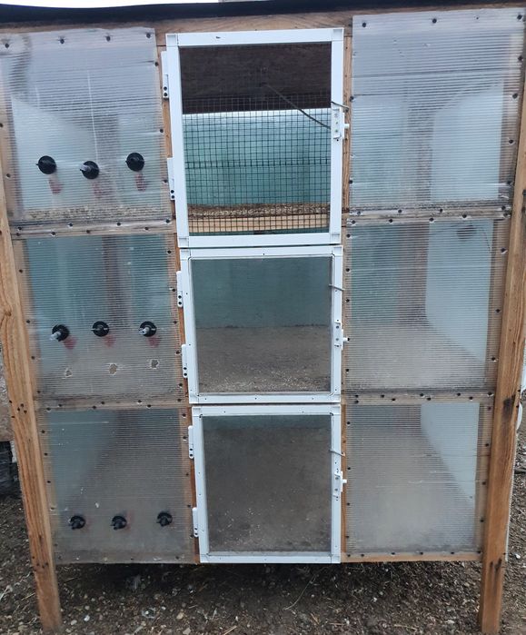 Vând cuști pentru iepuri, cuști pentru  prepelițe, maternitate pui