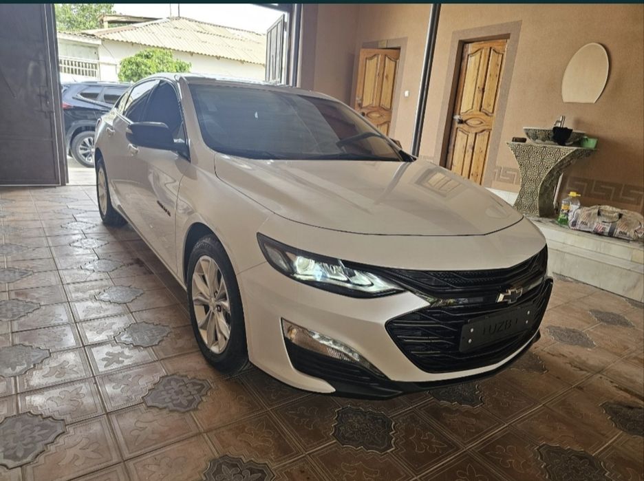 Malibu 2XL zavod2023