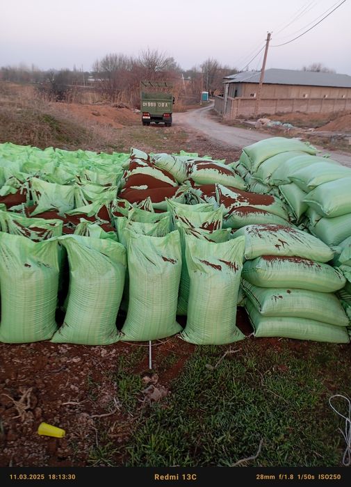 Gong biyogomus jirigan sifatli qoplangan