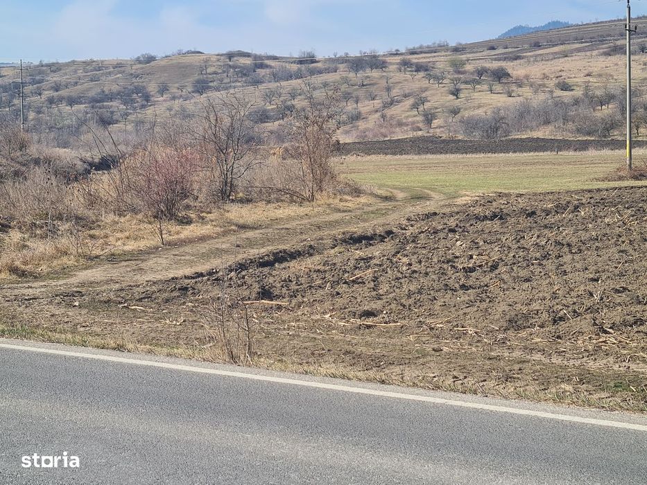Teren extravilan 4000 mp. , Magiresti-Bacau