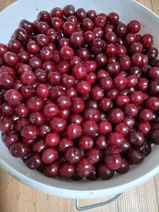 Дачную вишню продам