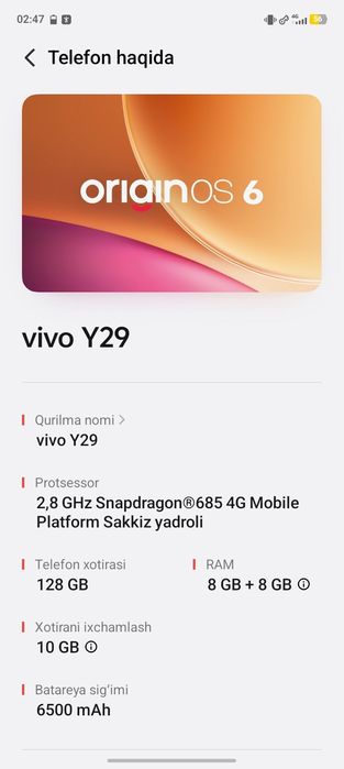 Vivo y29 bor hamma joyi radnoy