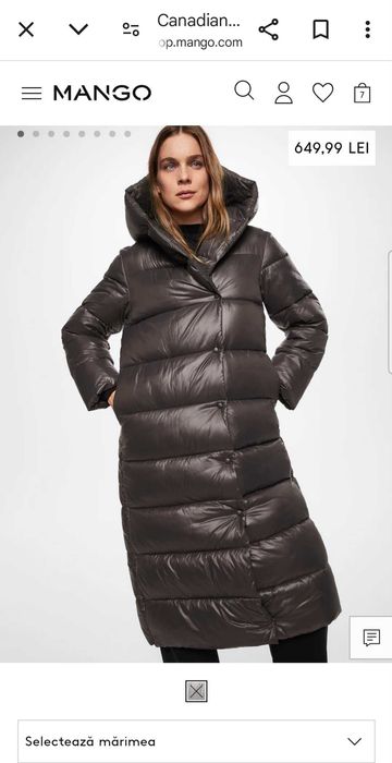 Canadiana  matlasata Mango