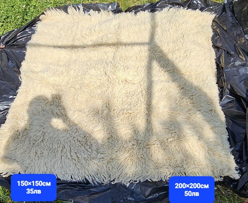 Родопски Китеници