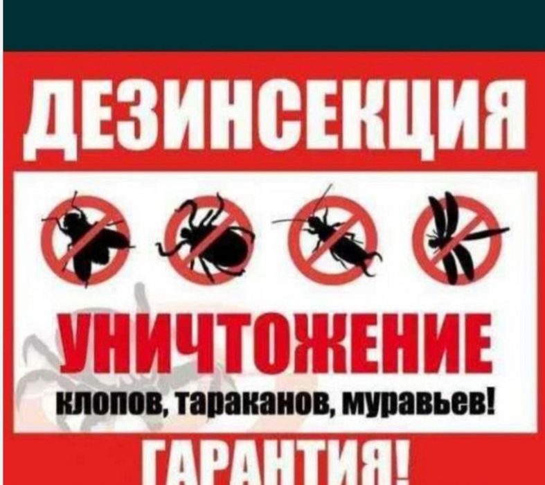 Дезинфекция Дезинсекция Дератизация