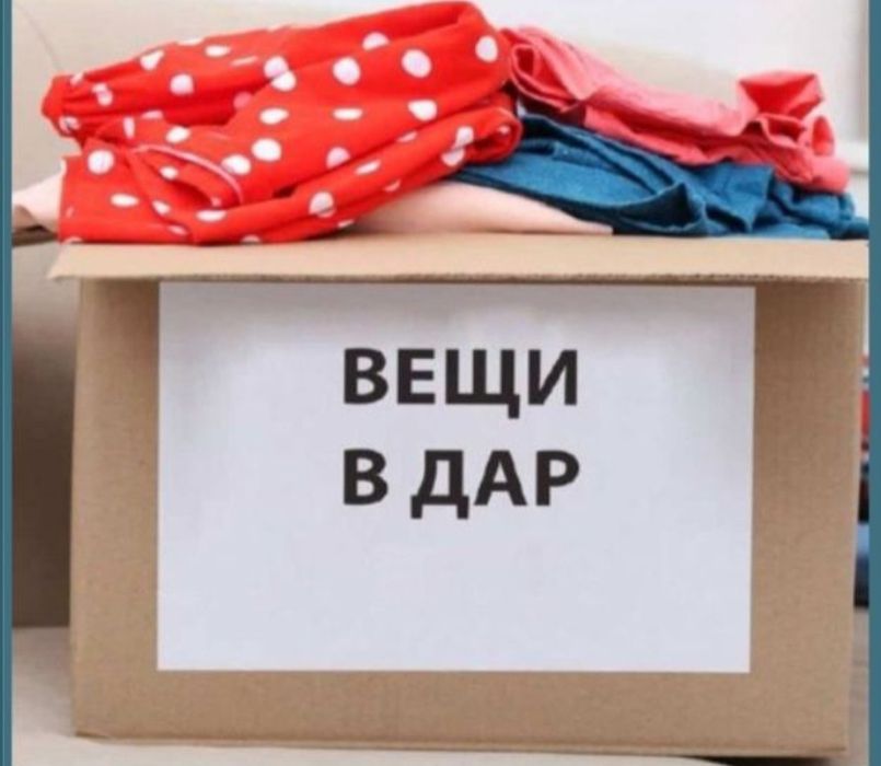 Бесплатно отдам даром