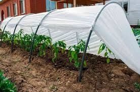 АГРОВОЛОКНО – теплица ва кишлок хужалиги учун