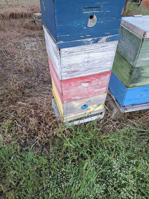 Стари сандъци рутови