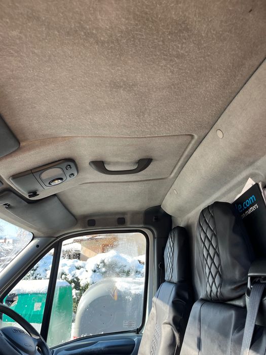 Меден тиган нов уникат